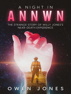 cover image of A Night in Annwn